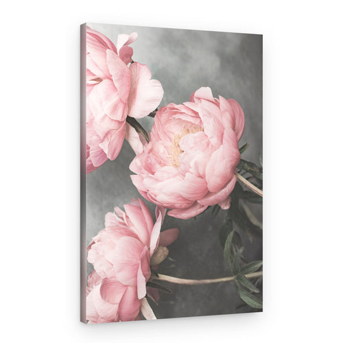 01643 – Canvas Print