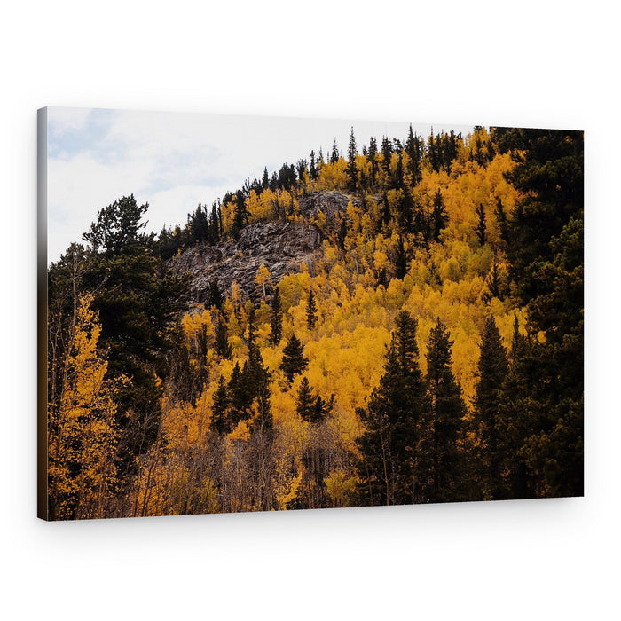 Golden Autumn Mountain – Canvas Print