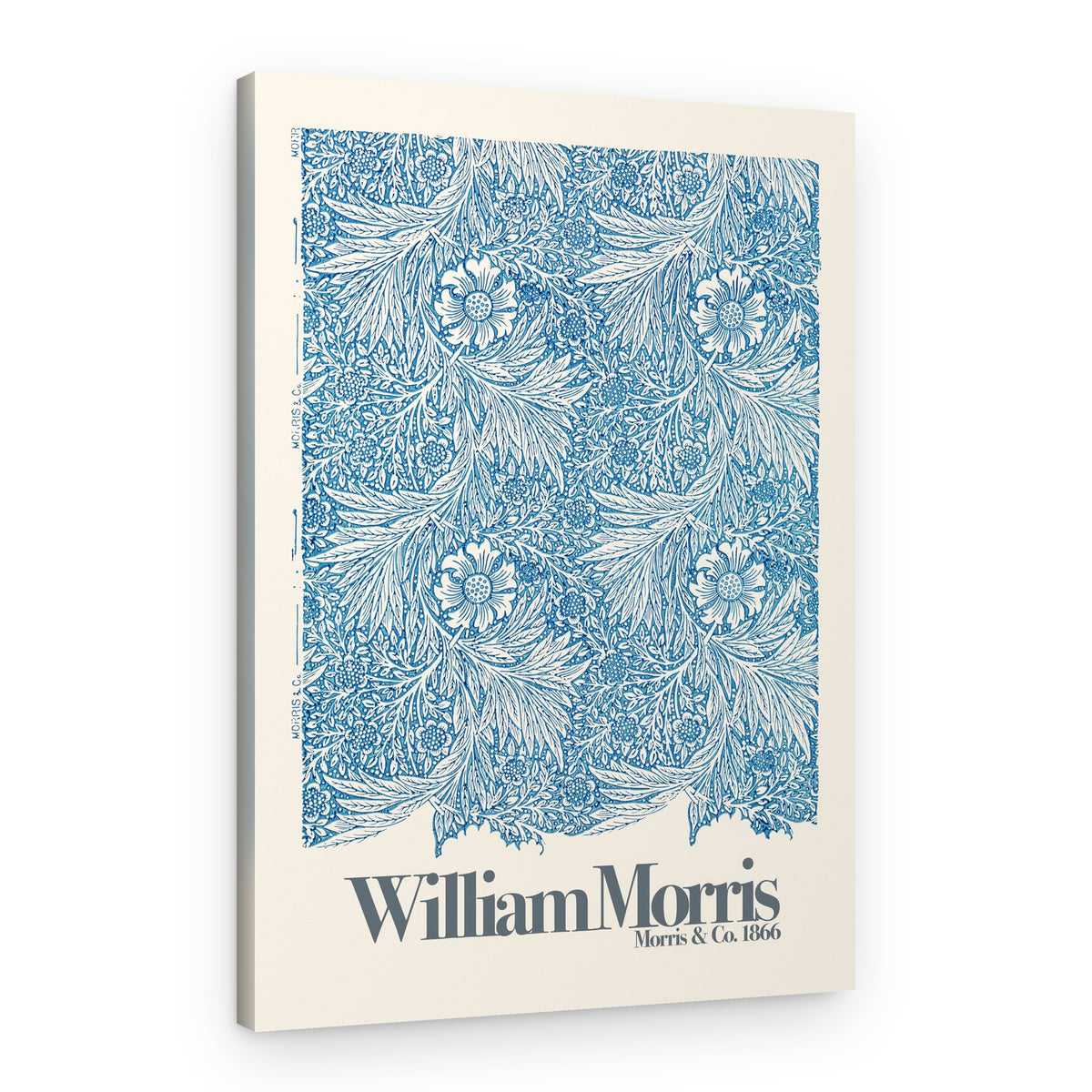 Marigold – Canvas Print