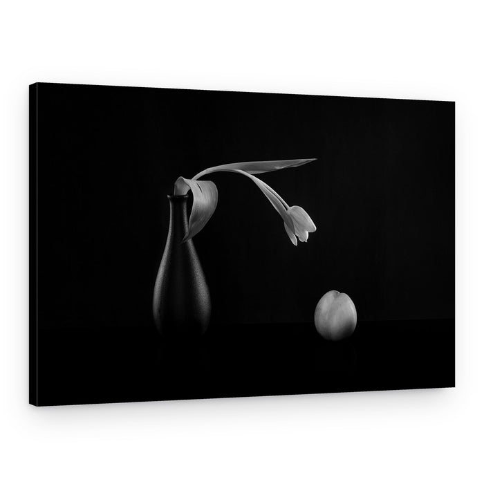 Dark Tulip Still Life – Canvas Print