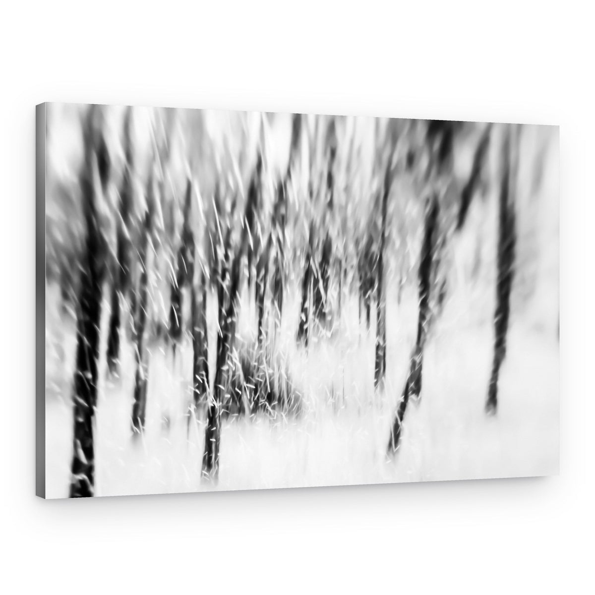 Winter Forest Blur – Canvas Print