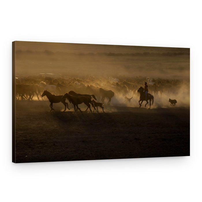 Running Horses Golden Hour – Canvas Print