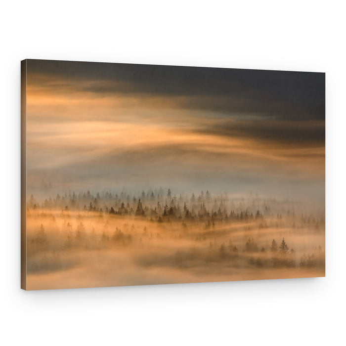 Golden Misty Forest – Canvas Print
