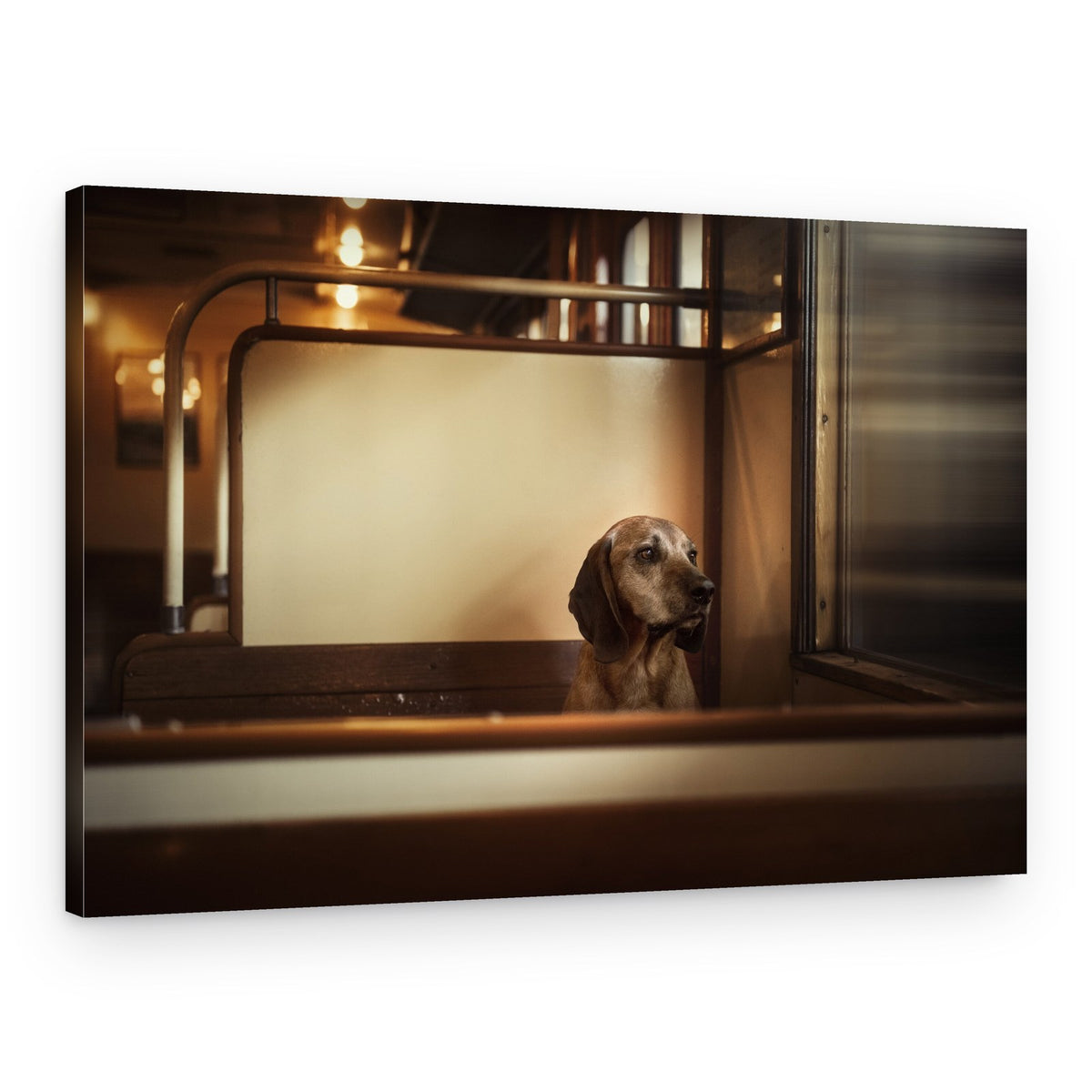 Thoughtful Dog Portrait – Canvas Print