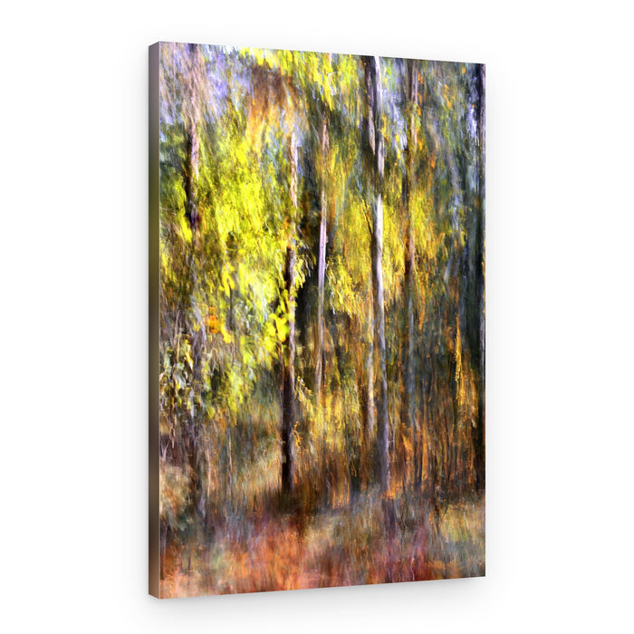 Dreamy Autumn Forest – Canvas Print