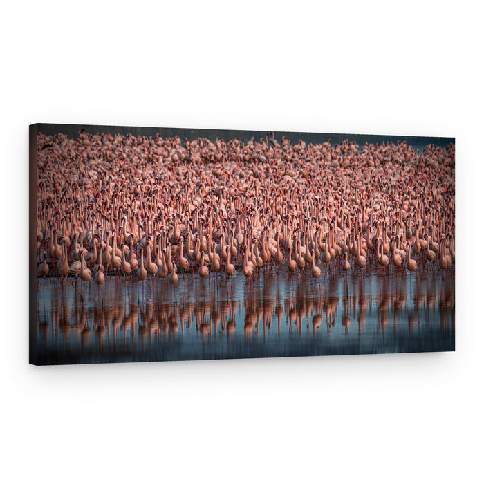 Pink Flamingo Flock – Canvas Print