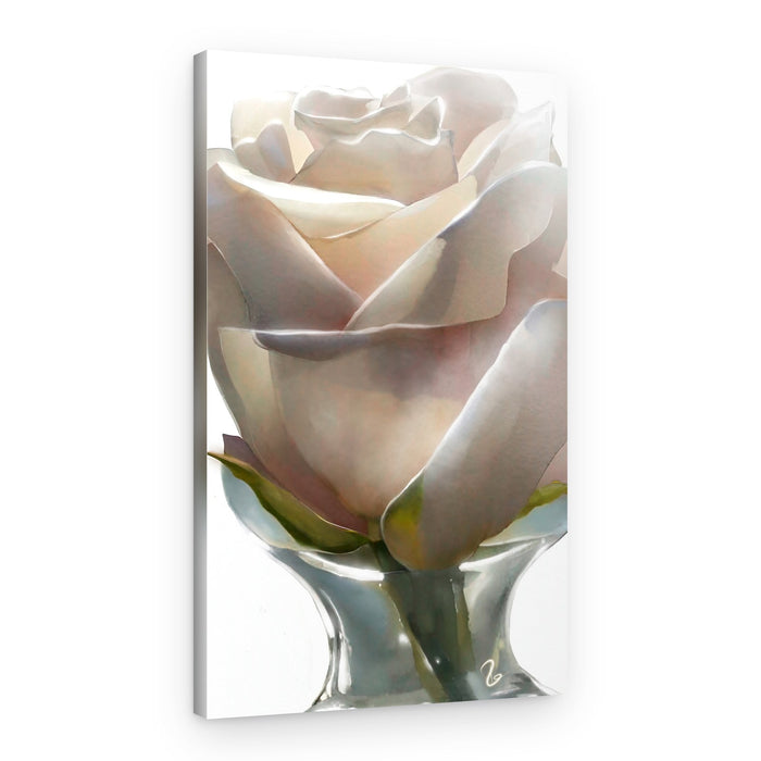 Elegant White Rose – Canvas Print