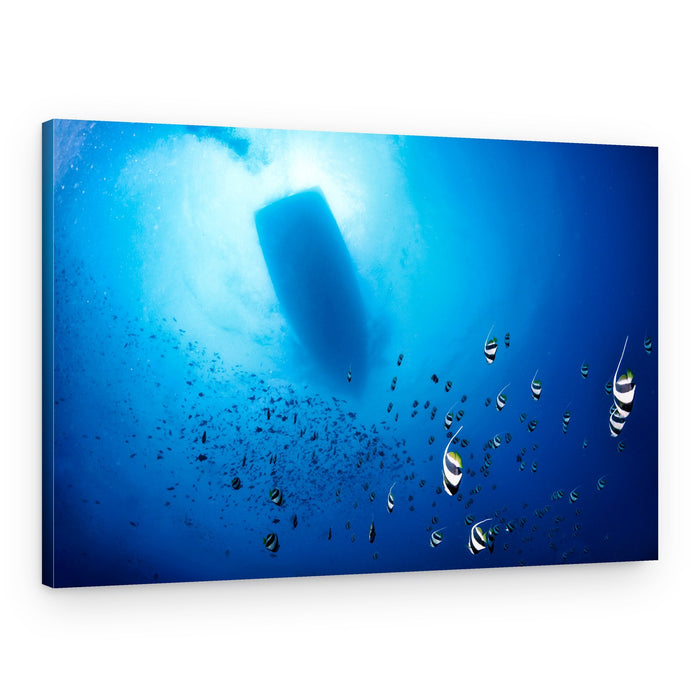 Sunlit Underwater School – Canvas Print