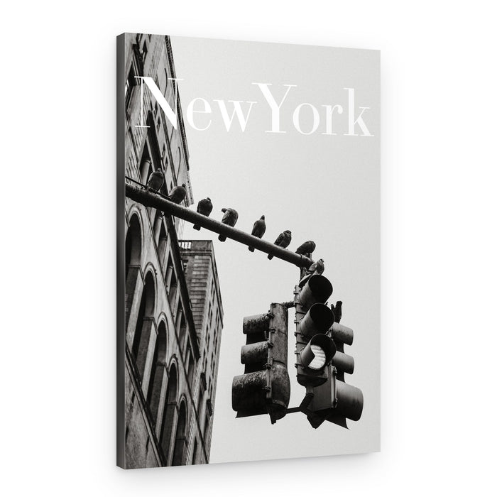 NYC Doves – Canvas Print