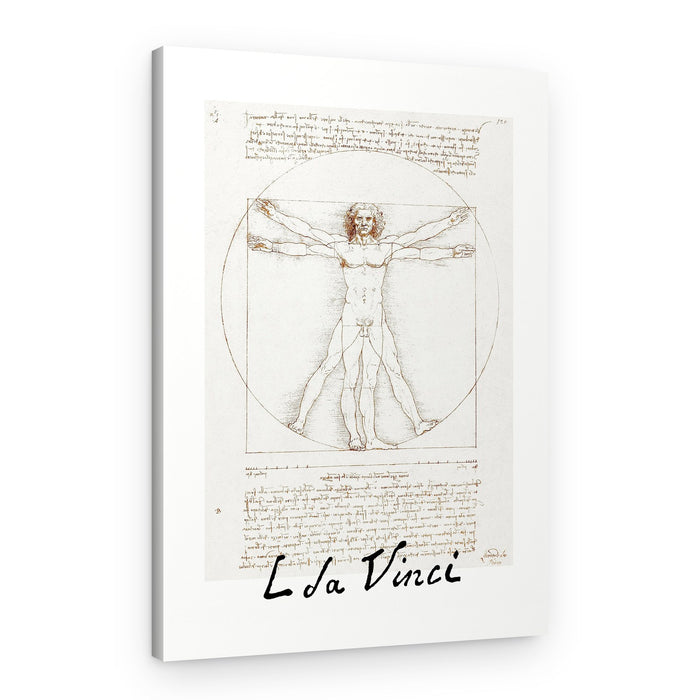 Vitruvian Man Signature – Canvas Print