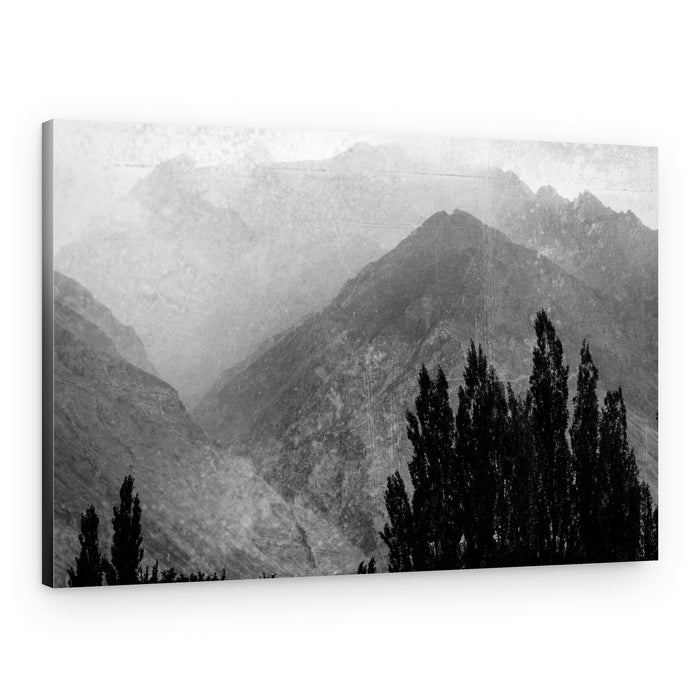 Misty Mountain Trees – Canvas Print