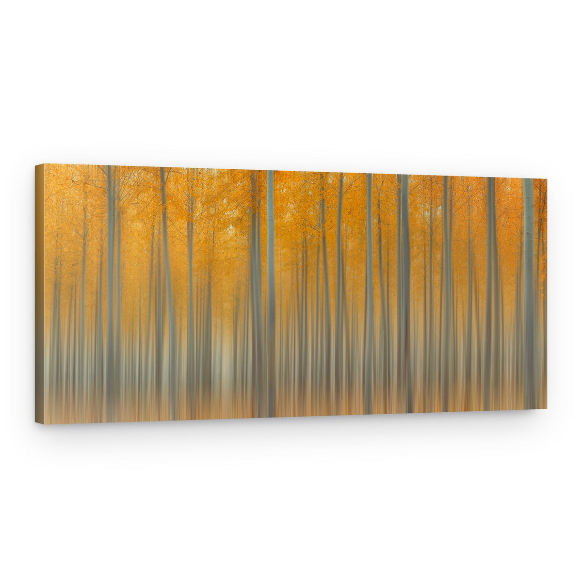 Abstract Fall Forest – Canvas Print