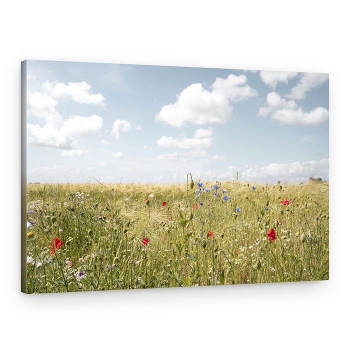 Summer Flower Field – Canvas Print