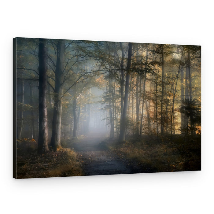 Golden Forest Path – Canvas Print