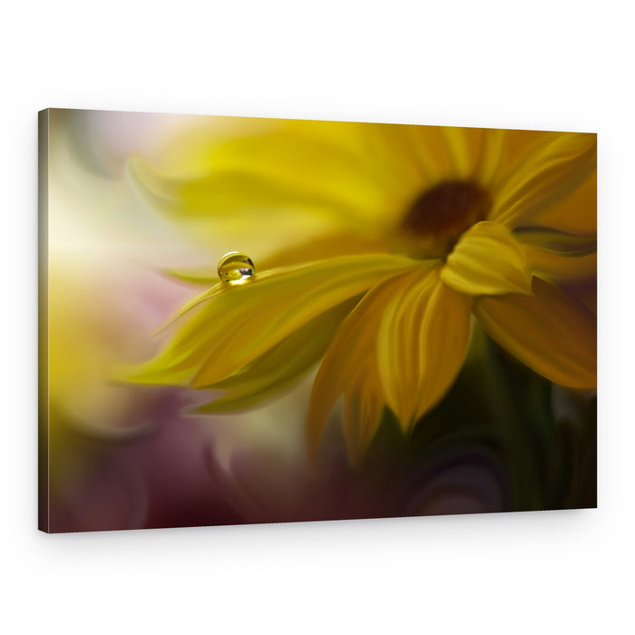 Golden Petal Dewdrop – Canvas Print