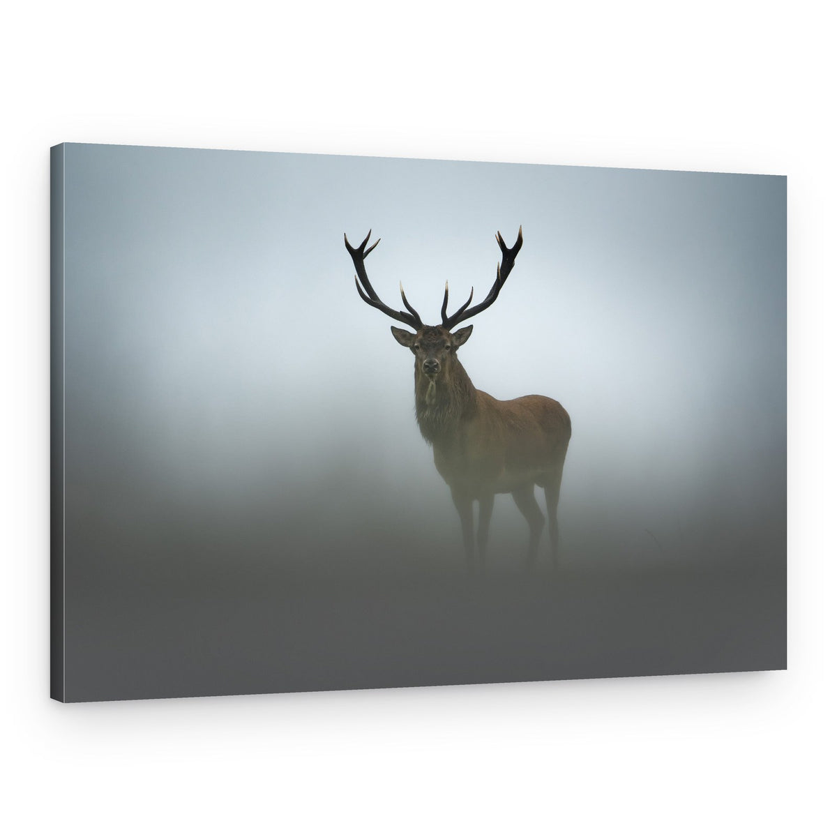Majestic Stag In Fog – Canvas Print