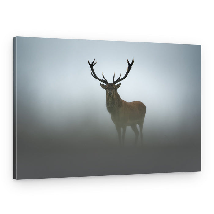Majestic Stag In Fog – Canvas Print