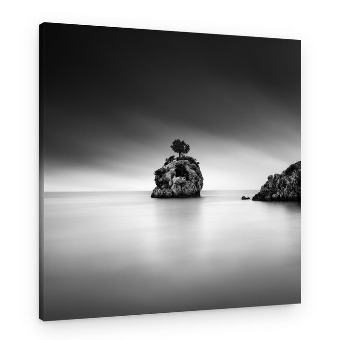Solitary Island Tree – Canvas Print