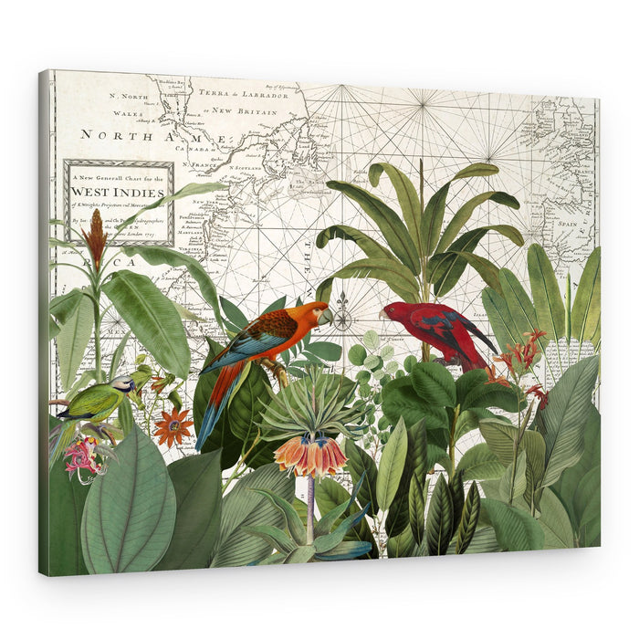 Tropical Map Exploration – Canvas Print