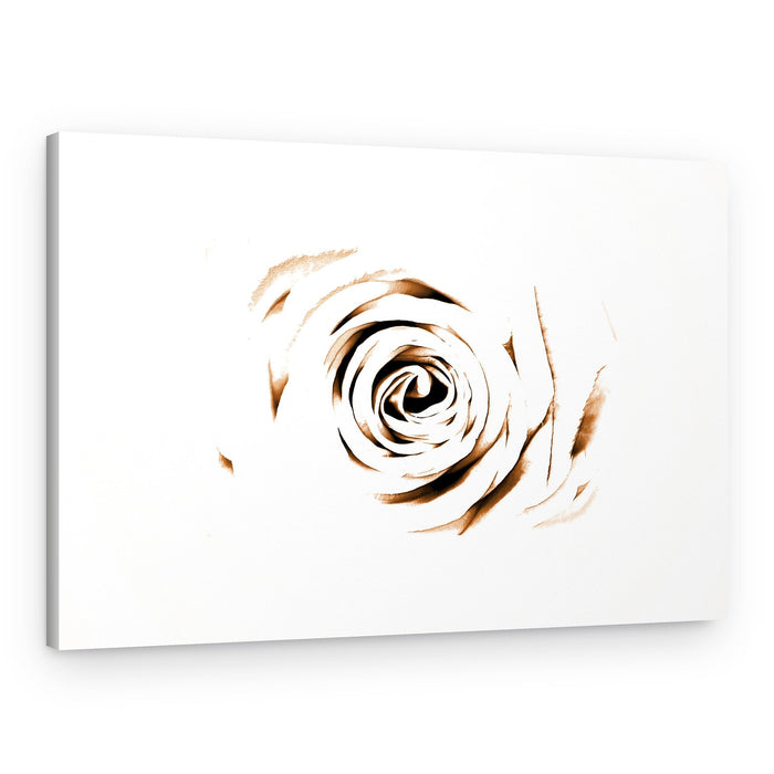 Elegant Sepia Rose – Canvas Print