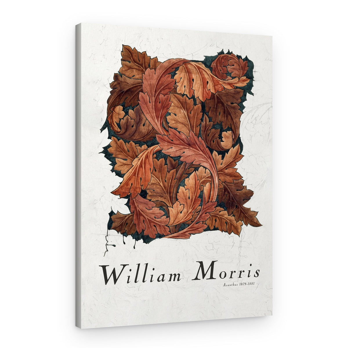 Acanthus – Canvas Print