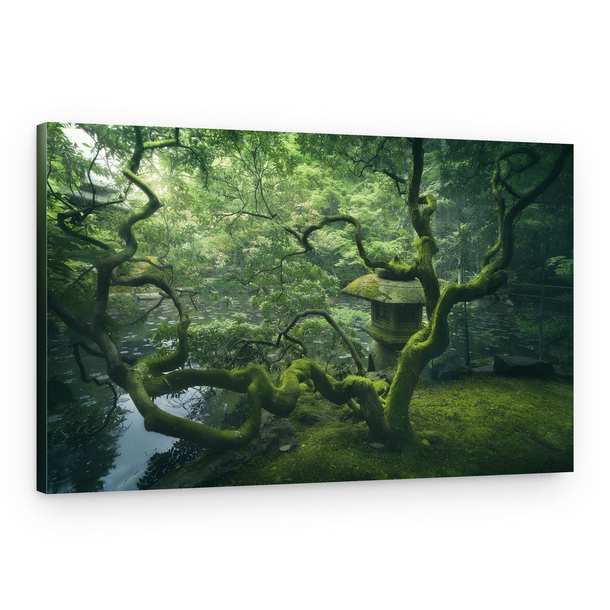 Mossy Garden Lantern – Canvas Print