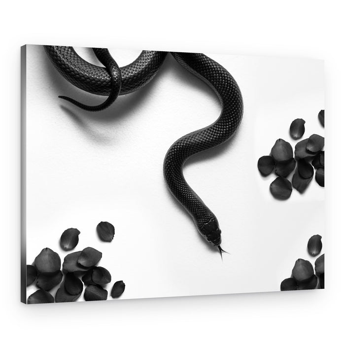 Black Snake Roses – Canvas Print