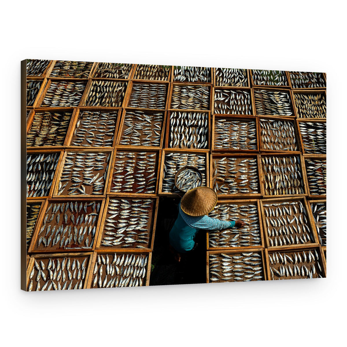 Sun Drying Fish – Canvas Print