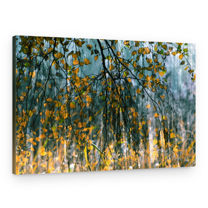 Golden Autumn Rain – Canvas Print