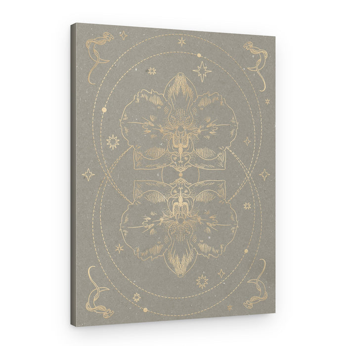 The mystical orchid – Canvas Print