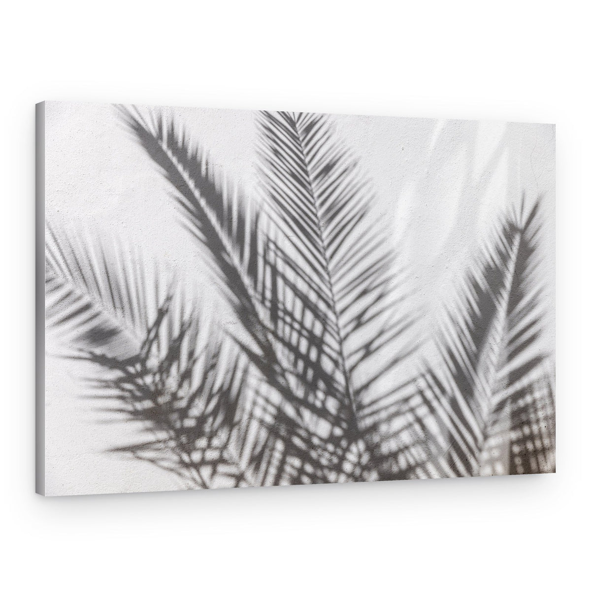 Tropical Shadow Play – Canvas Print
