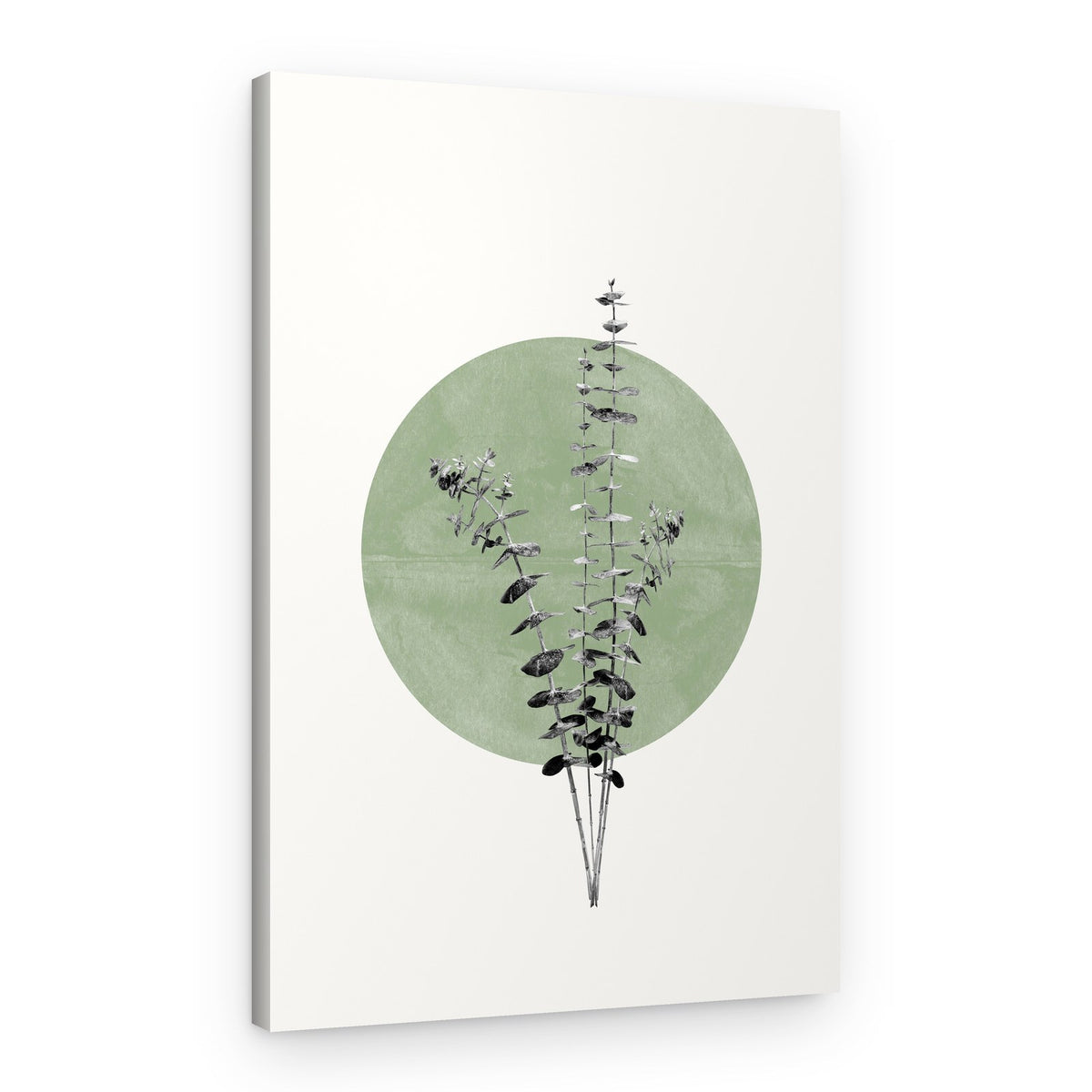 Nature's Echo – Canvas Print