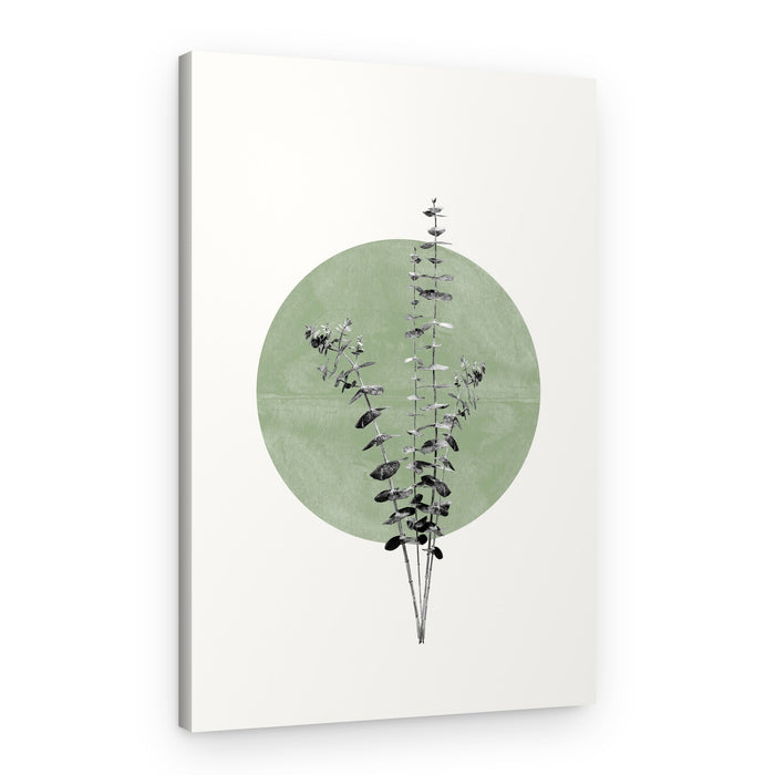 Nature's Echo – Canvas Print