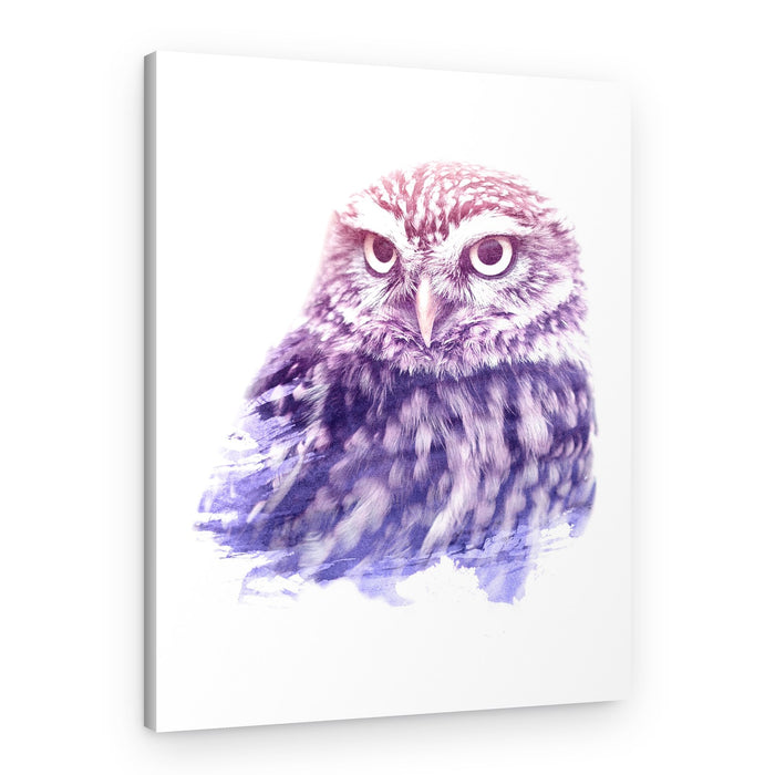 Ethereal Owl Portrait – Canvas Print