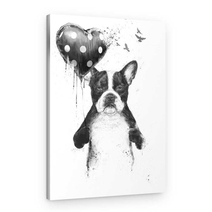 Adorable Boston Terrier Heart – Canvas Print