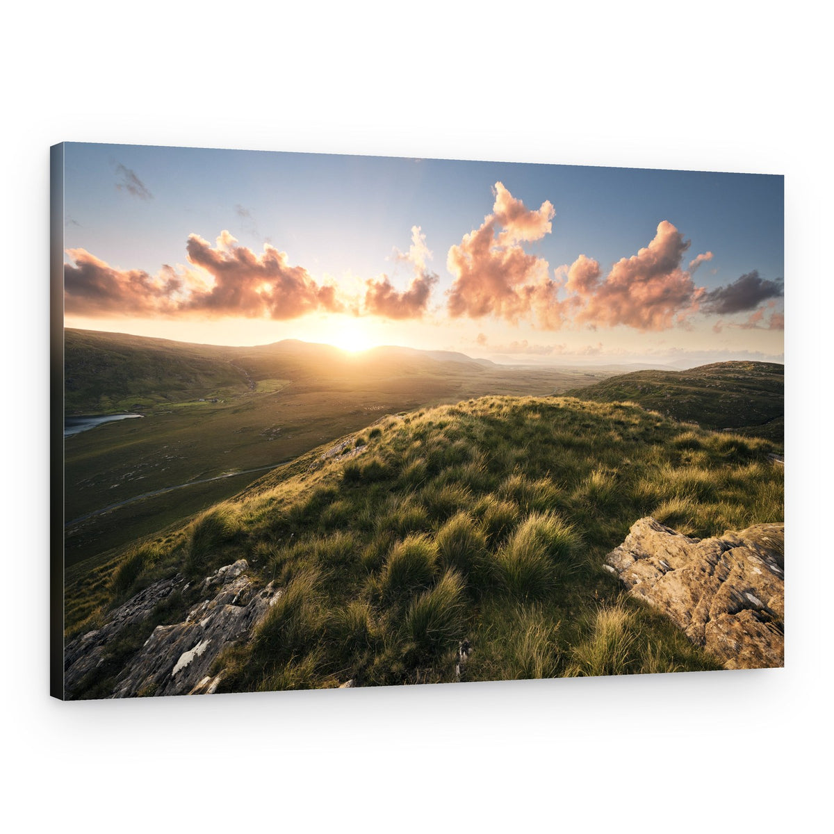 Soft Meadow – Canvas Print