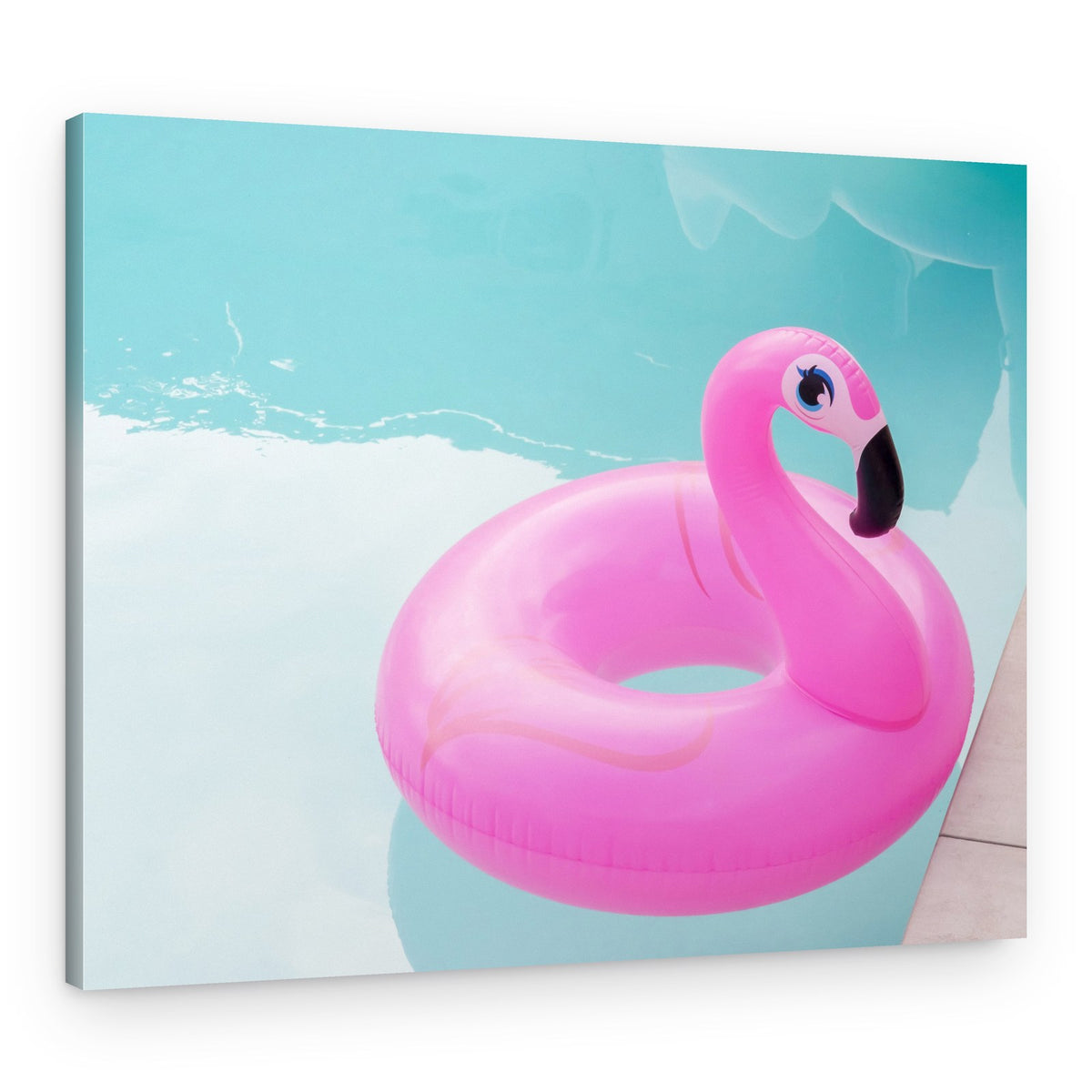 Giving You the Eye – Canvas Print