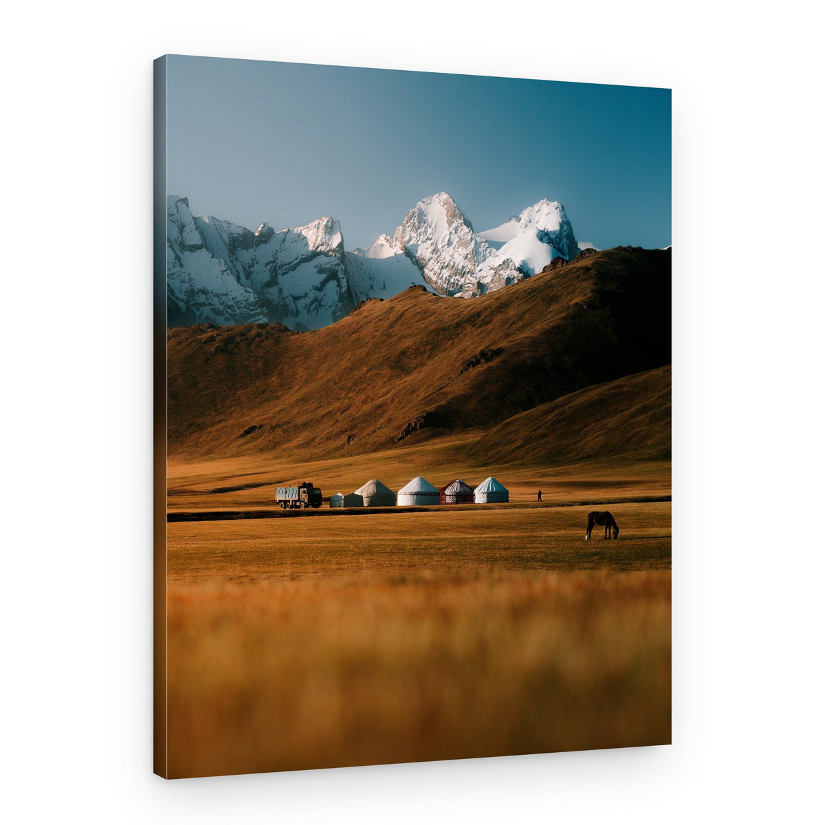 Golden Steppe Yurts – Canvas Print