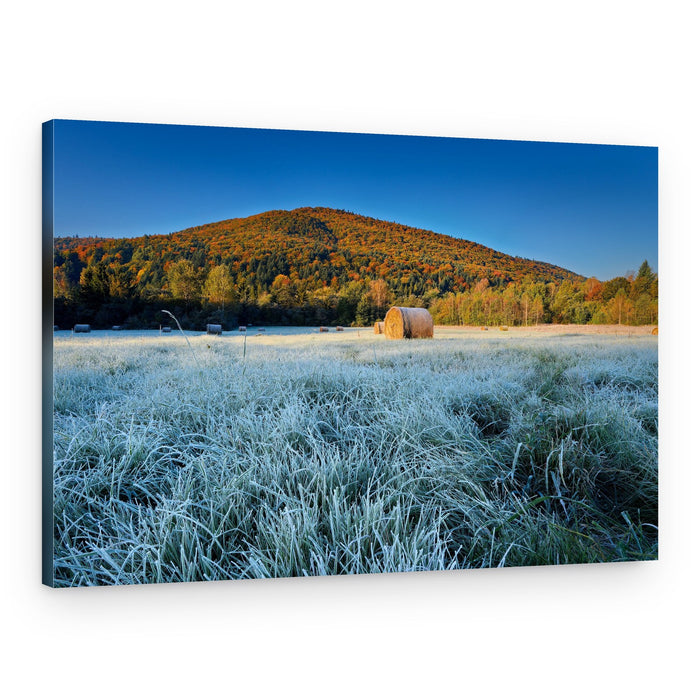 Frosty Autumn Hay Bales – Canvas Print