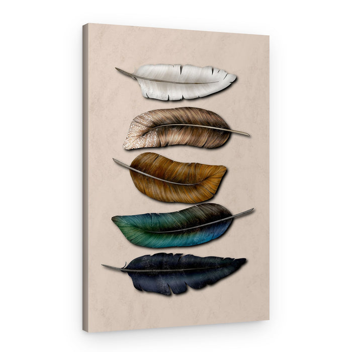Natural Feather Hues – Canvas Print