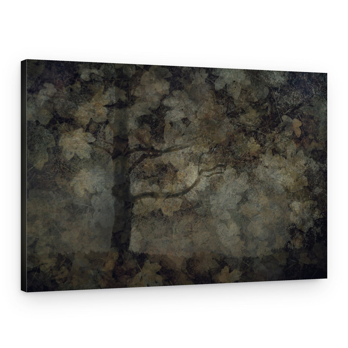 Dark forest – Canvas Print