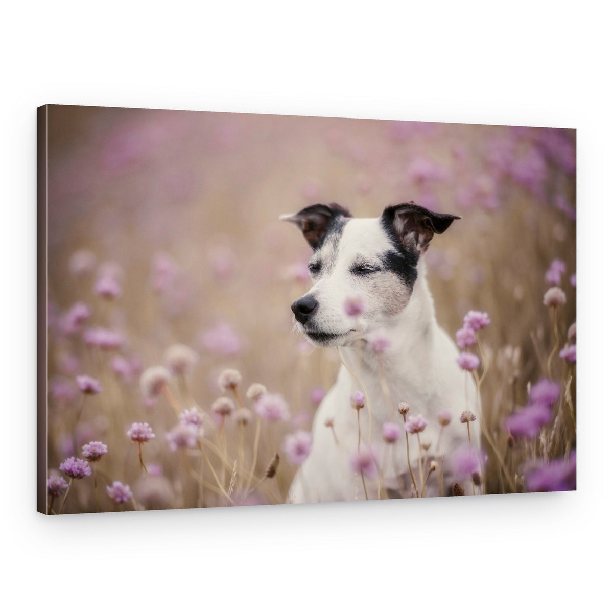 Dreamy Dog Field – Canvas Print