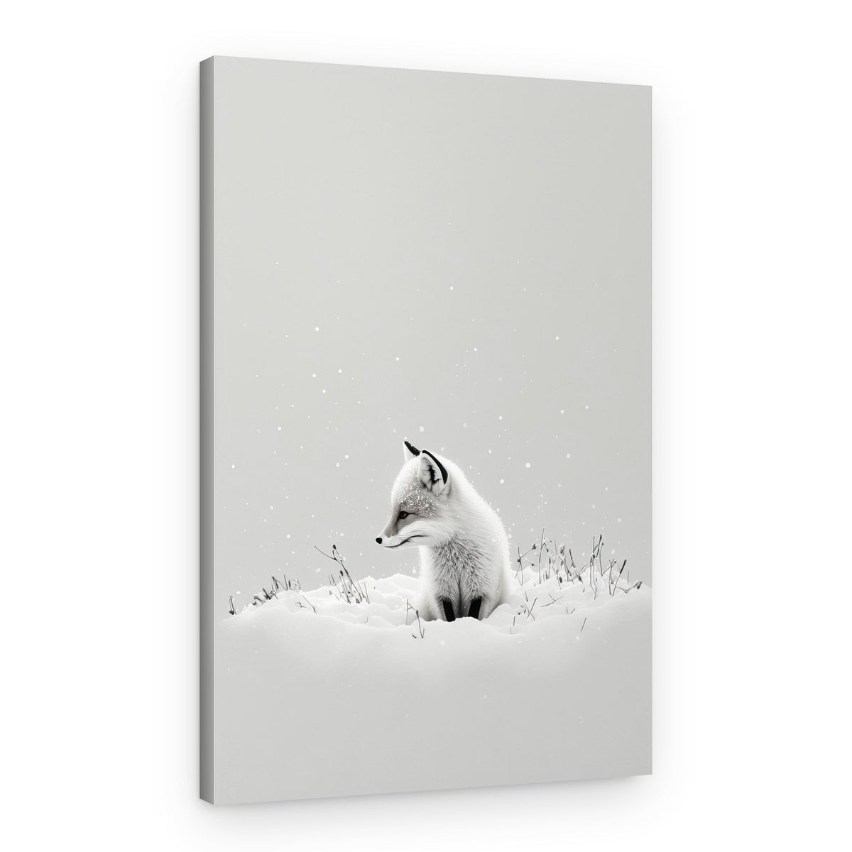 Winter Fox's Gaze – Canvas Print