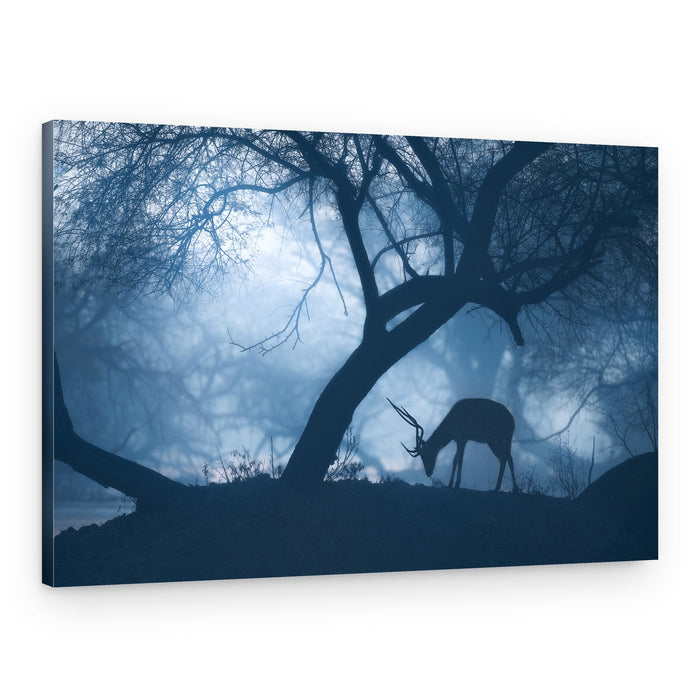 Misty Blue Deer – Canvas Print