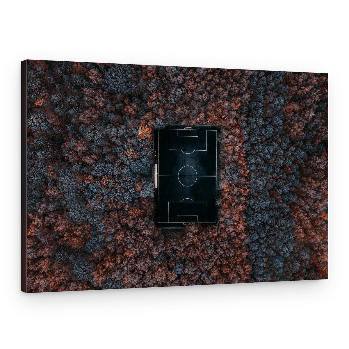 Hidden Forest Soccer Field – Canvas Print