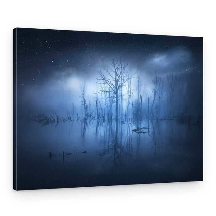 Misty Night Forest – Canvas Print