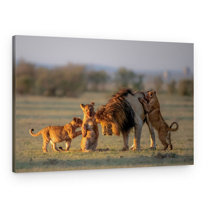 Playful Lion Cubs – Canvas Print