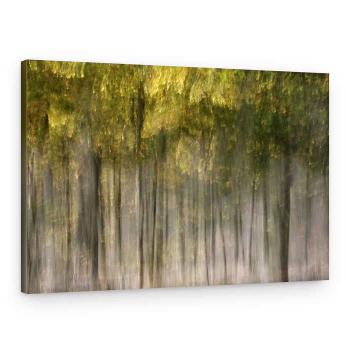 Dreamy Autumn Forest – Canvas Print