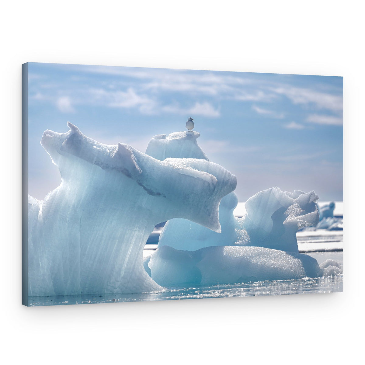 Bird on Blue Iceberg – Canvas Print