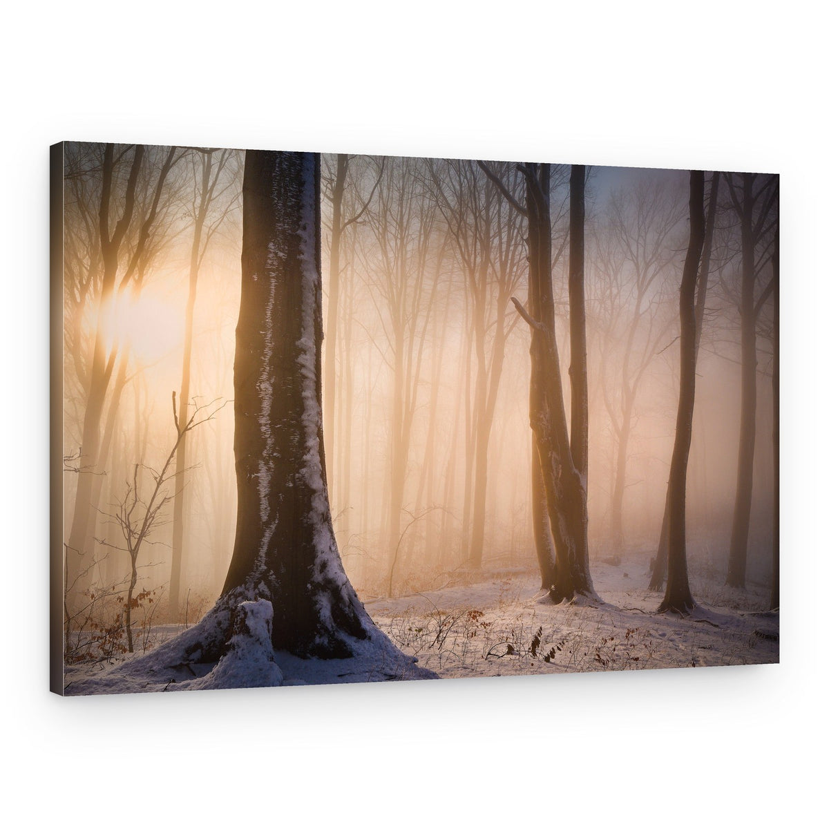Sunlit Misty Winter Forest – Canvas Print